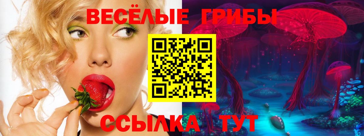 Галлюциногенные грибы прущие грибы Бердск